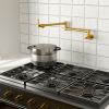 Double 360° Rotatable Joints Traditional Wall Mount Stove Swing Arm Folding Pot Filler Kitchen Faucet Double Handle with Spare Ceramic Valve