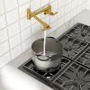 Double 360° Rotatable Joints Traditional Wall Mount Stove Swing Arm Folding Pot Filler Kitchen Faucet Double Handle with Spare Ceramic Valve